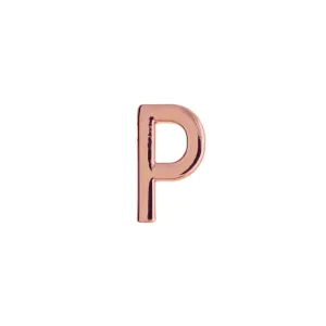 Buckle Up Rose Gold P Charm