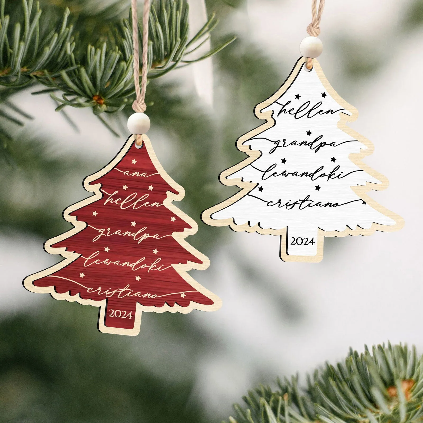 Custom 3D Christmas Tree Ornament, Family Names Ornament, Christmas Gift Tag CF168